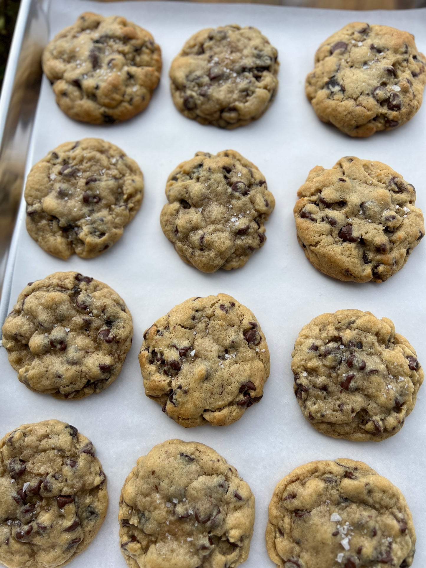 Chocolate Chip Cookie