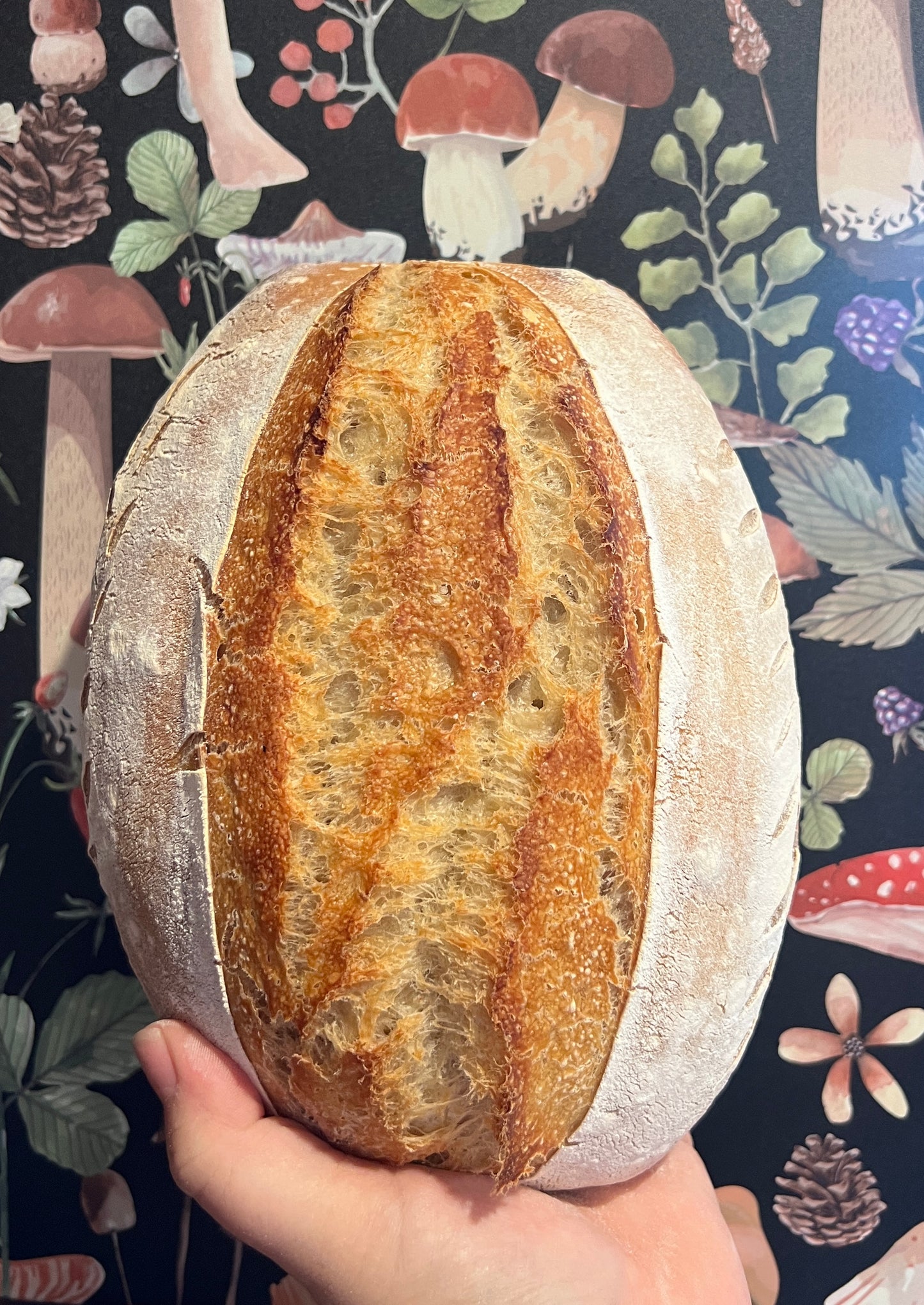Plain Sourdough Bread