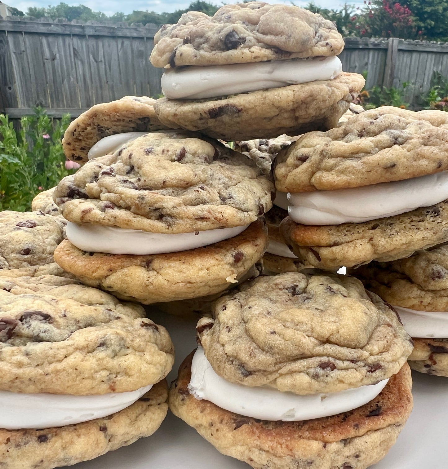 Chocolate Chip Sandwich Cookie
