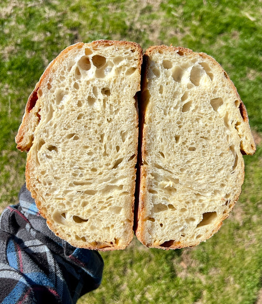 Asiago Sourdough