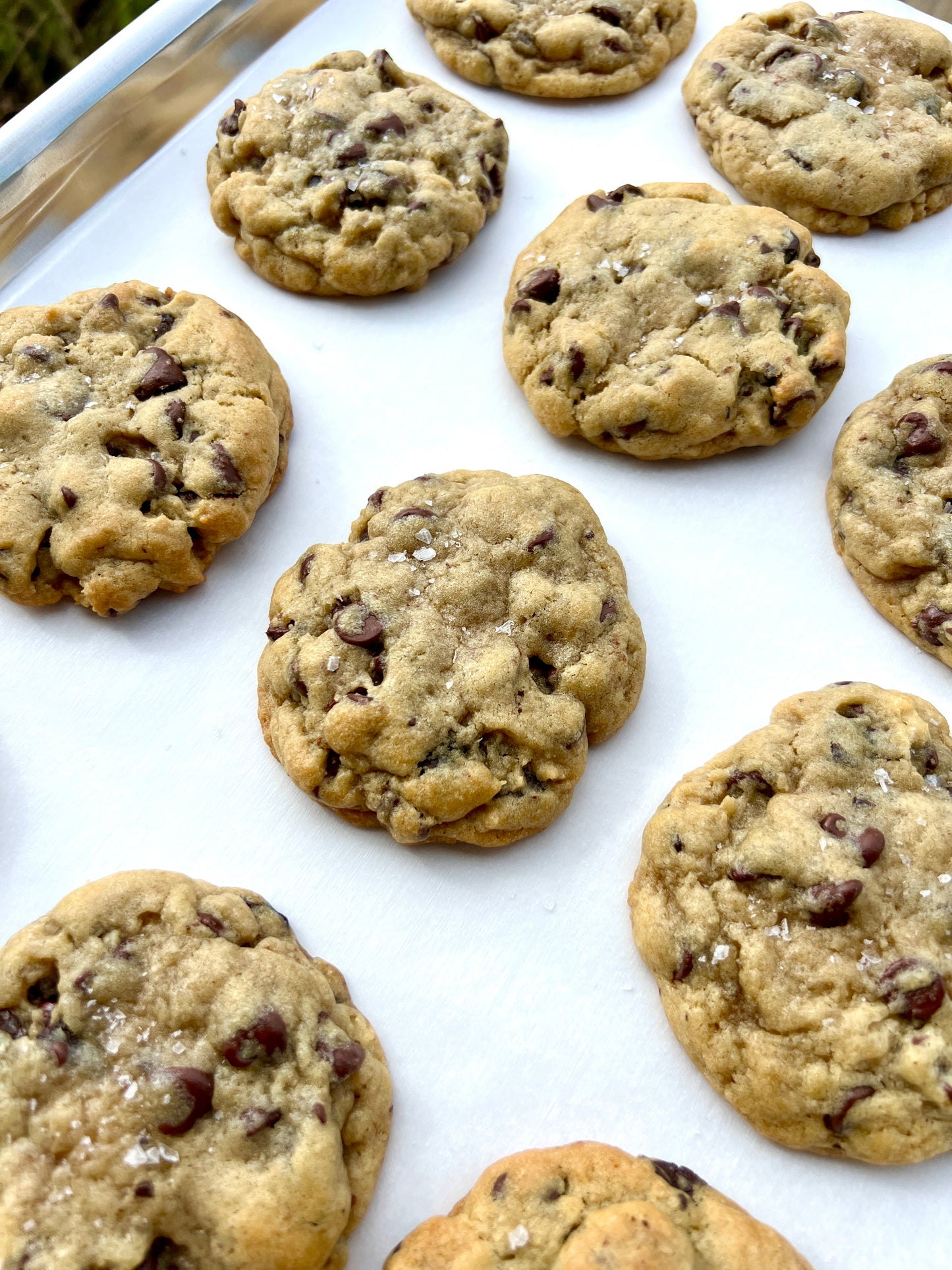 Chocolate Chip Cookie