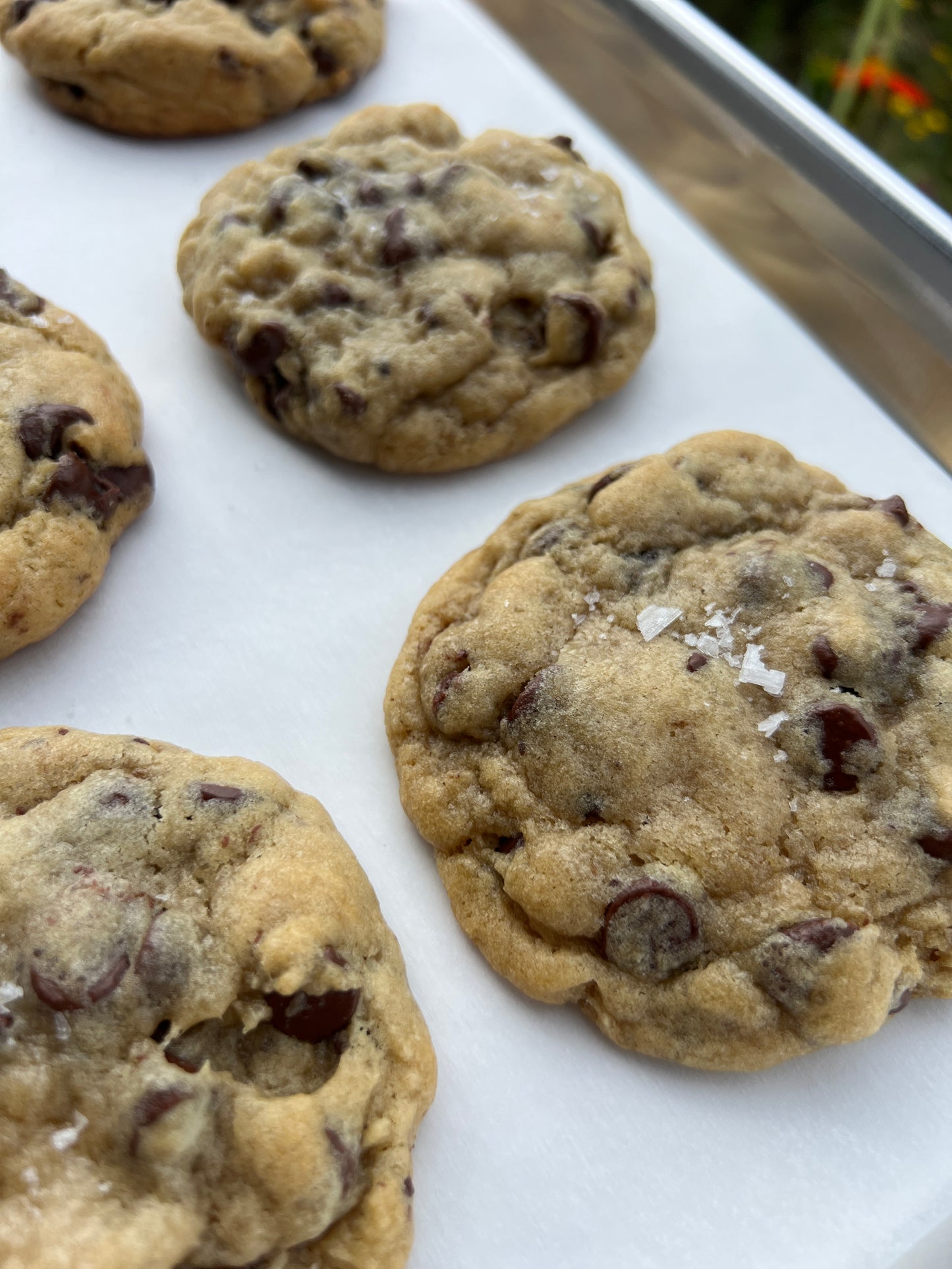 Chocolate Chip Cookie