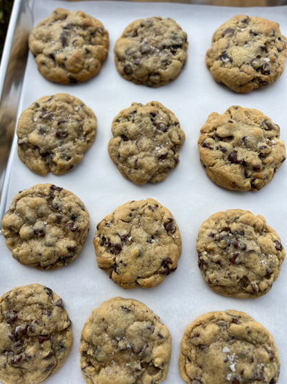 Chocolate Chip Cookie