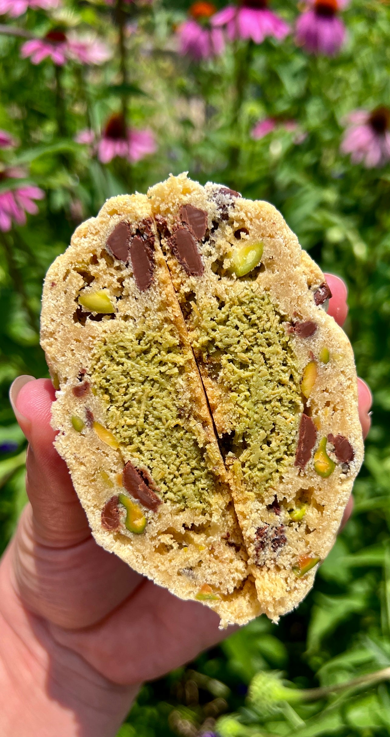 Chocolate Pistachio Cookie
